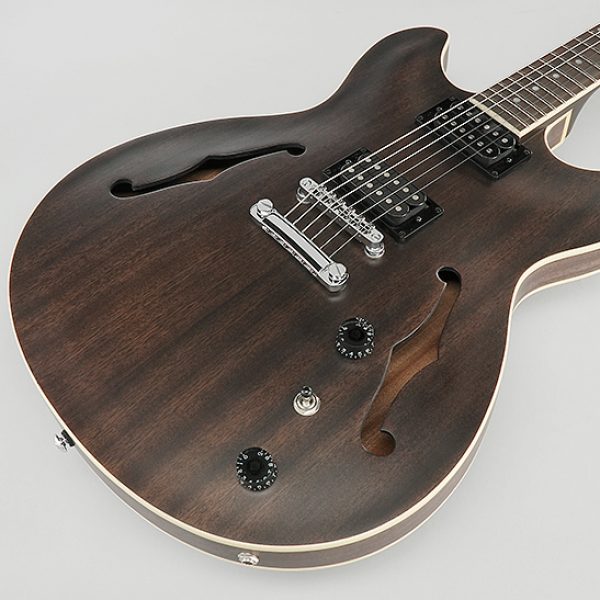 Ibanez AS53 Hollow Body Electric Guitar