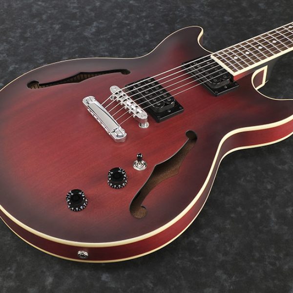 Ibanez AM53 Hollow Body Electric Guitar